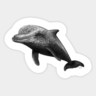 Spotted Dolphin Drawing Sticker